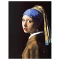 Stampa Su Tela - La Ragazza Con L'orecchino Di Perla - Jan Vermeer - Quadro Su T